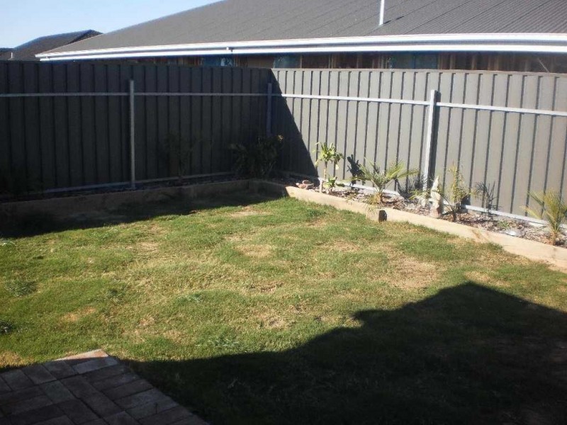 59 Riesling Crescent, Andrews Farm SA 5114