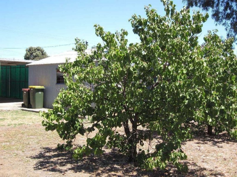 2 Richards Avenue, Gawler South SA 5118