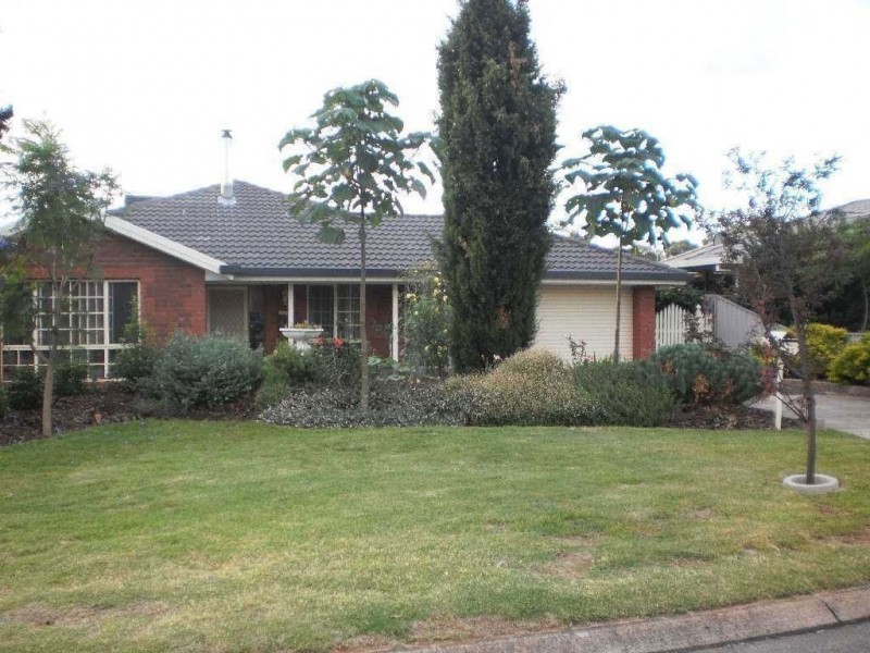 17 Holmes Street, Willaston SA 5118