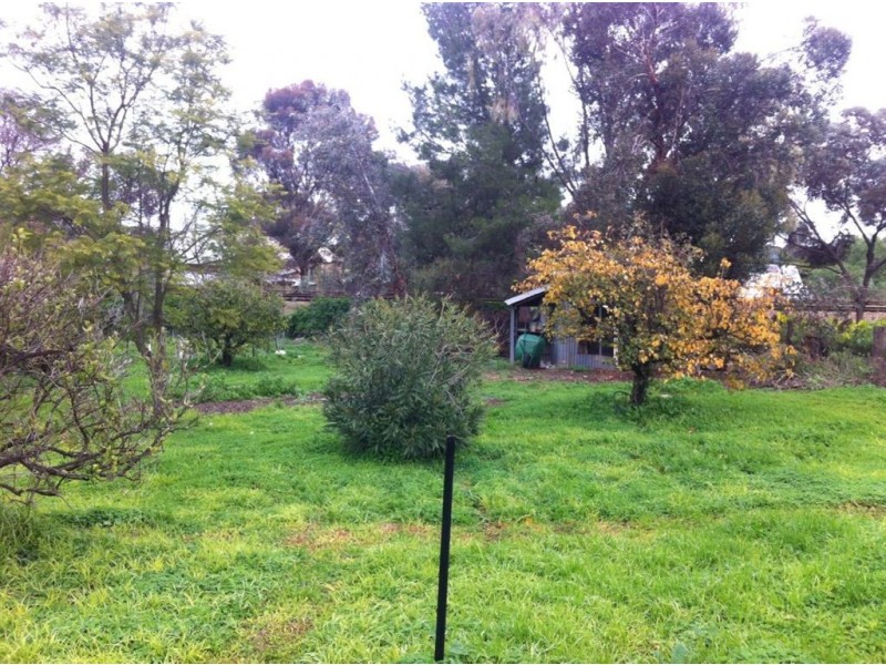 8 Makin Street, Hamley Bridge SA 5401