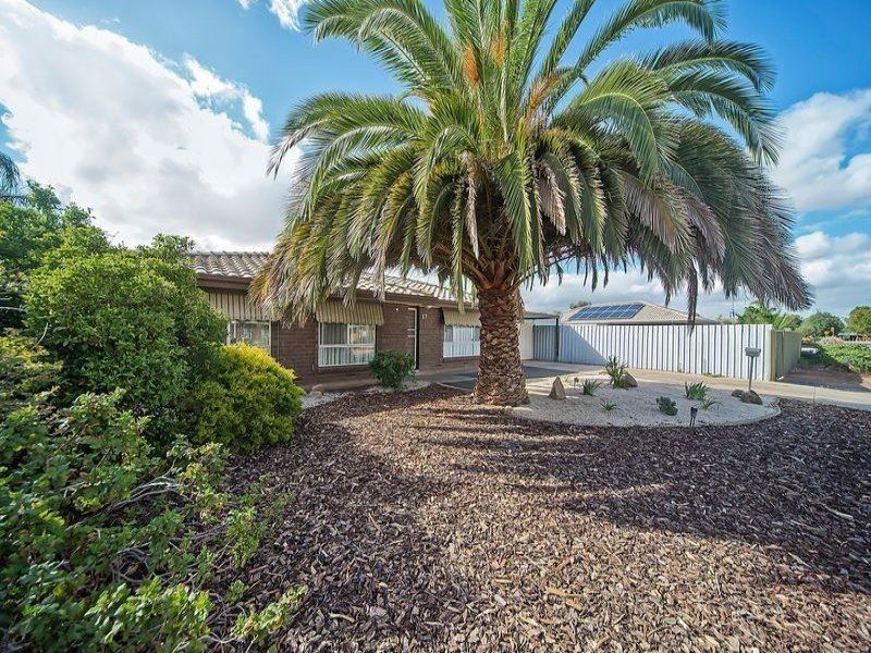 17 President Avenue, Andrews Farm SA 5114