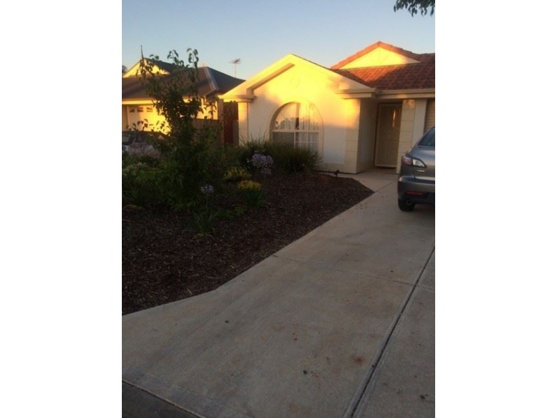 21 Gerlach Grove, Evanston Park SA 5116