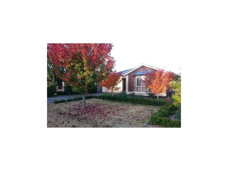 6 Zimmermann Street, Nuriootpa SA 5355