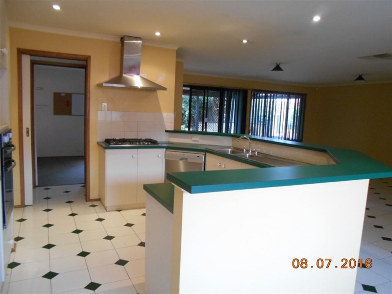 12 Williams Street, Evanston Park SA 5116