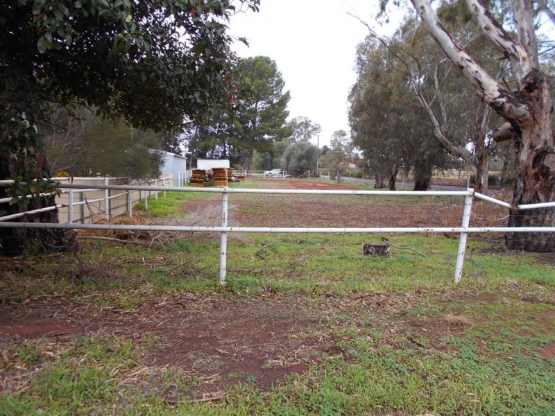 55 Roediger Road, Buchfelde SA 5118