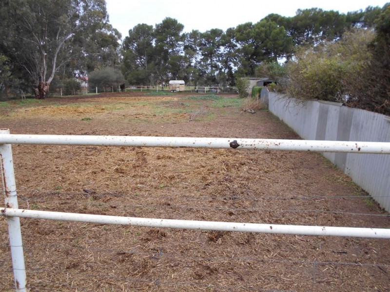 55 Roediger Road, Buchfelde SA 5118