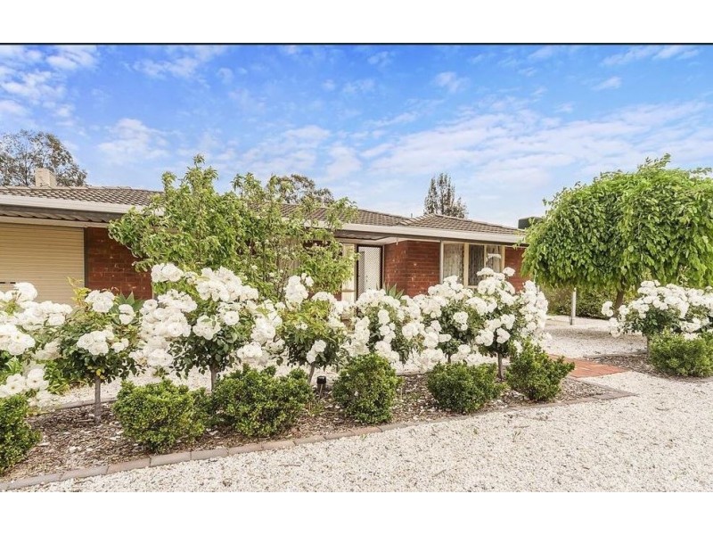 29 Brooks Avenue, Willaston SA 5118