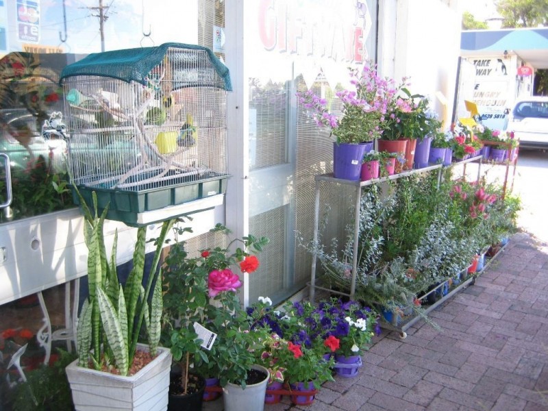 10/62 Penguin Road, Safety Bay WA 6169