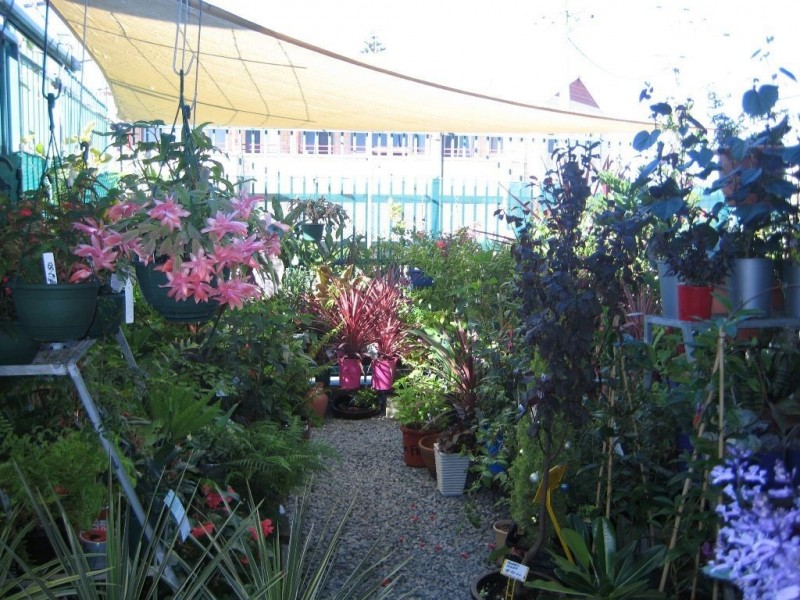 10/62 Penguin Road, Safety Bay WA 6169