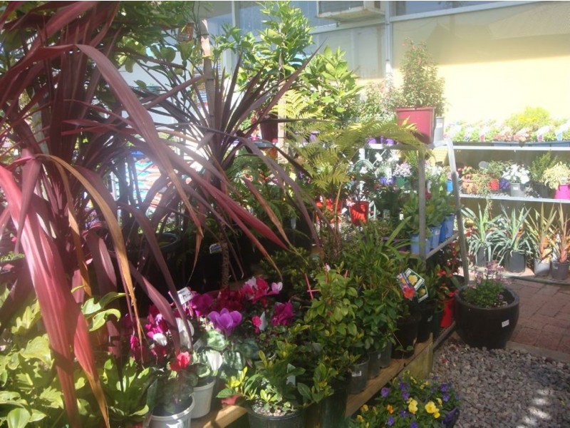 10/62 Penguin Road, Safety Bay WA 6169