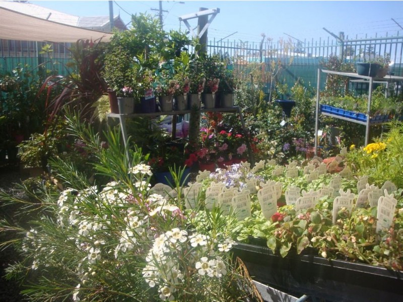 10/62 Penguin Road, Safety Bay WA 6169