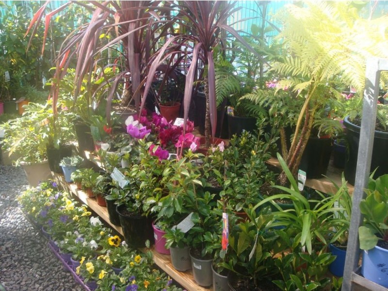 10/62 Penguin Road, Safety Bay WA 6169