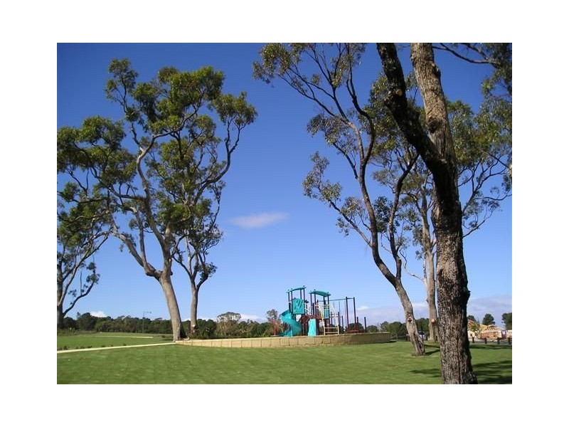 2 Kapok Turn, Baldivis WA 6171