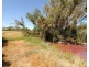 56 Thomasfield Place, Ravenswood WA 6208