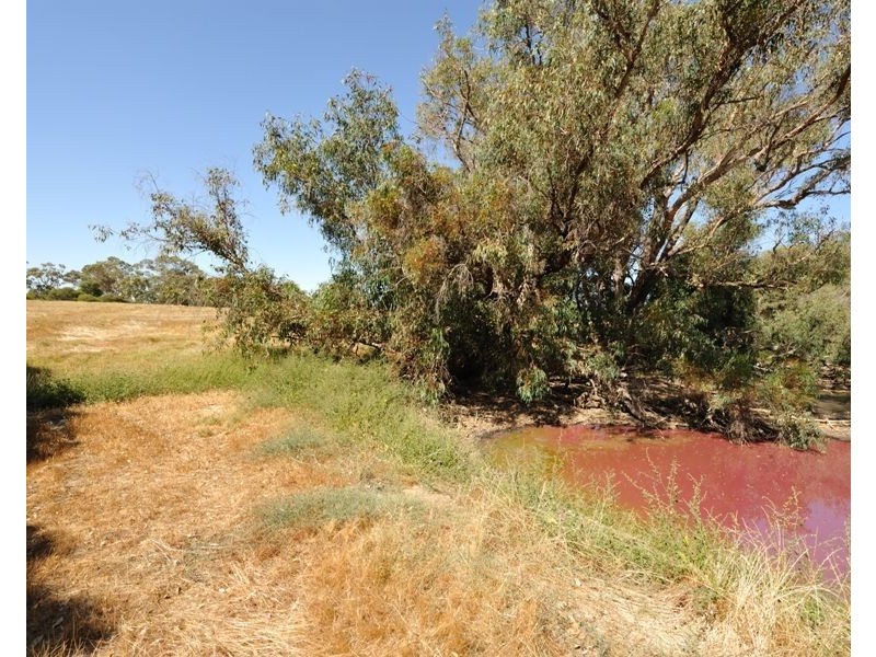 56 Thomasfield Place, Ravenswood WA 6208