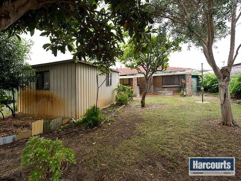 8 Albatross Place, Rockingham WA 6168