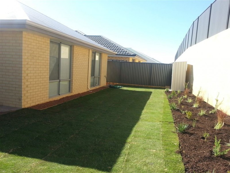 11 Branchton Loop, Baldivis WA 6171