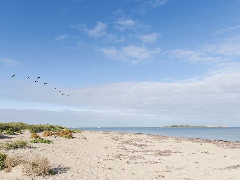 44A Arcadia Drive, Shoalwater WA 6169