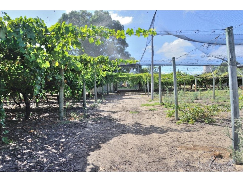 91 Stakehill Road, Karnup WA 6176