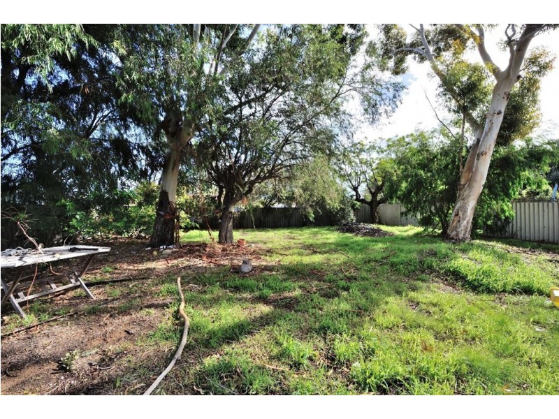 19 Payne Street, Shoalwater WA 6169