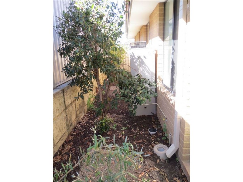10 Berry Way, Bertram WA 6167