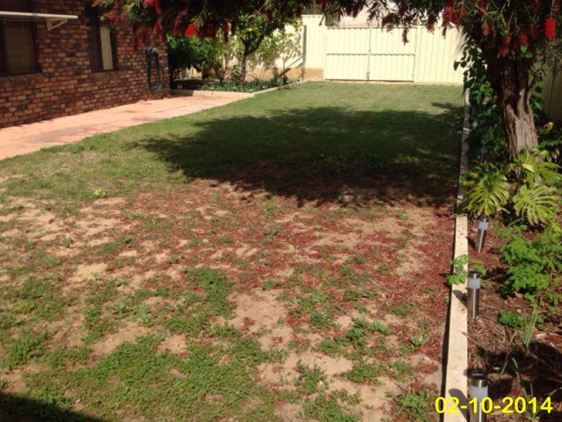 38 Penguin Road, Shoalwater WA 6169