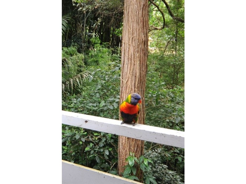 85 Campbell Dr, Wahroonga NSW 2076