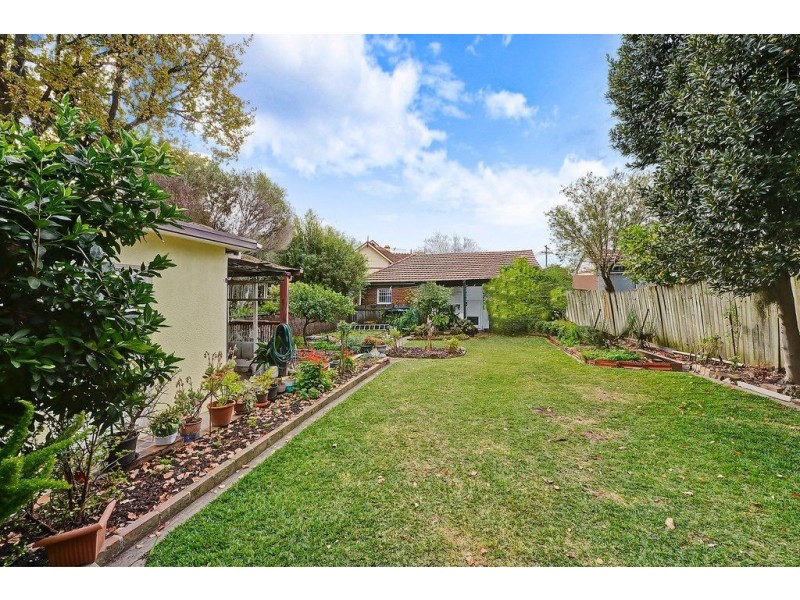 3 Saywell St, Chatswood NSW 2067