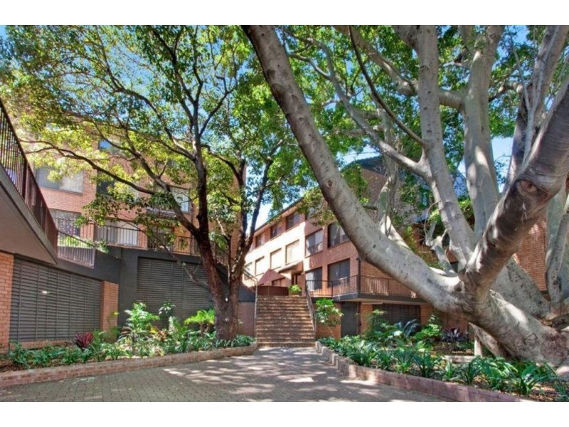 498 Elizabeth St, Surry Hills NSW 2010