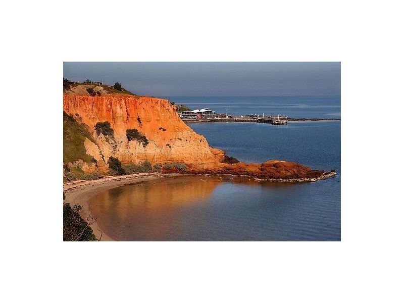 2/315 Beach Road, Black Rock VIC 3193