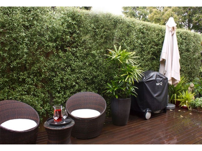 12 Courtney Street, Cheltenham VIC 3192