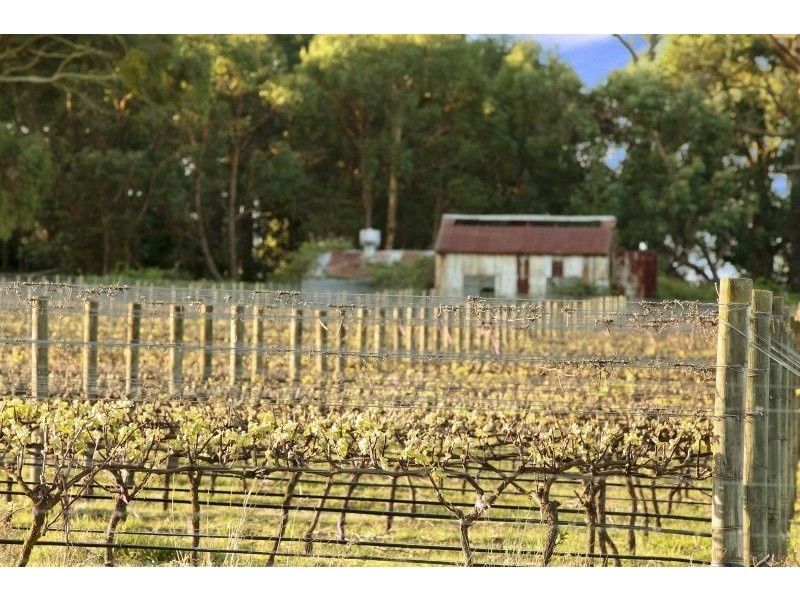 7 Turners Road, Merricks North VIC 3926