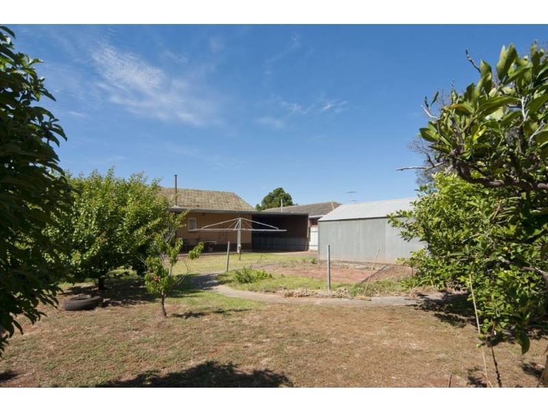 12 Argent Street, Elizabeth Grove SA 5112