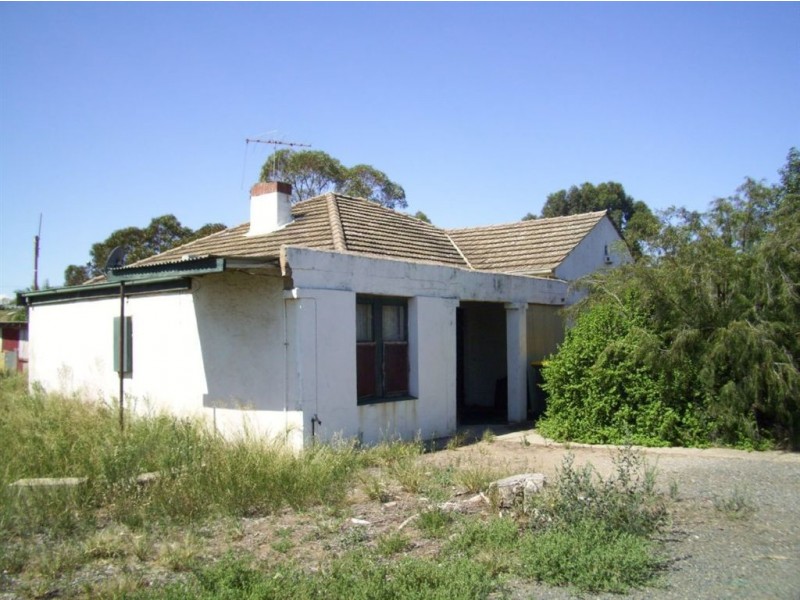 36 Panter Street, Willaston SA 5118