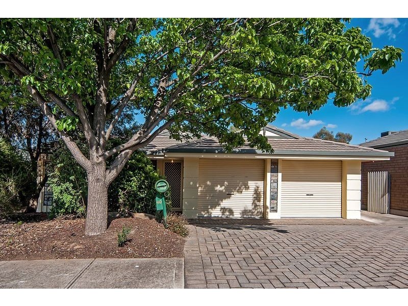 40 Taylor Street, Modbury Heights SA 5092