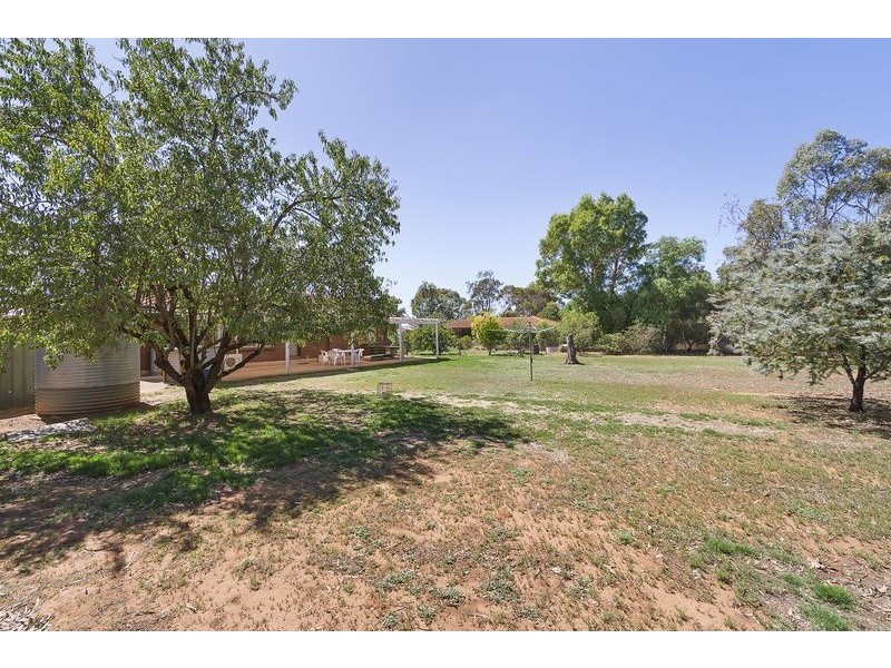 99 Peerless Road, Munno Para West SA 5115