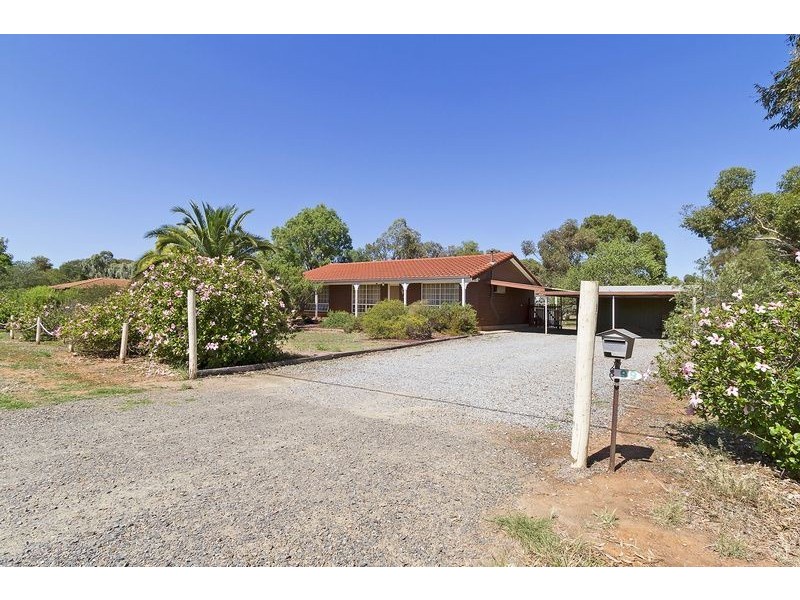 99 Peerless Road, Munno Para West SA 5115