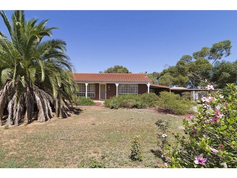 99 Peerless Road, Munno Para West SA 5115