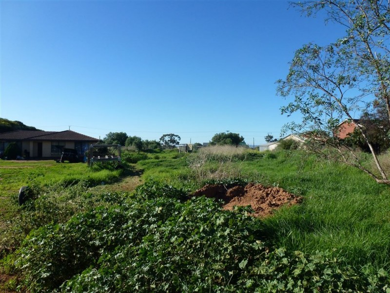 Lot 51 Old Port Wakefield Road, Virginia SA 5120