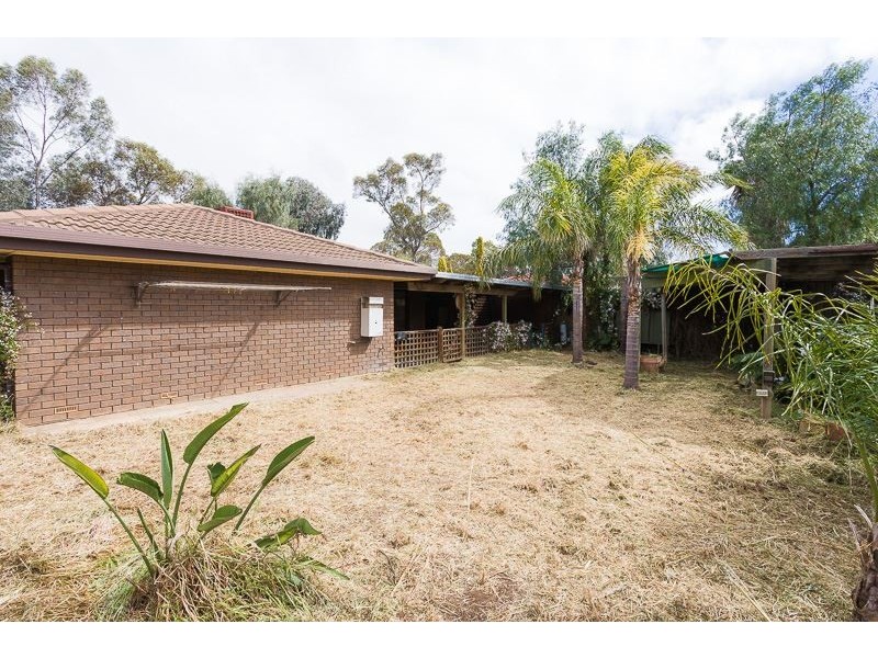 13 Scholes Avenue, Parafield Gardens SA 5107