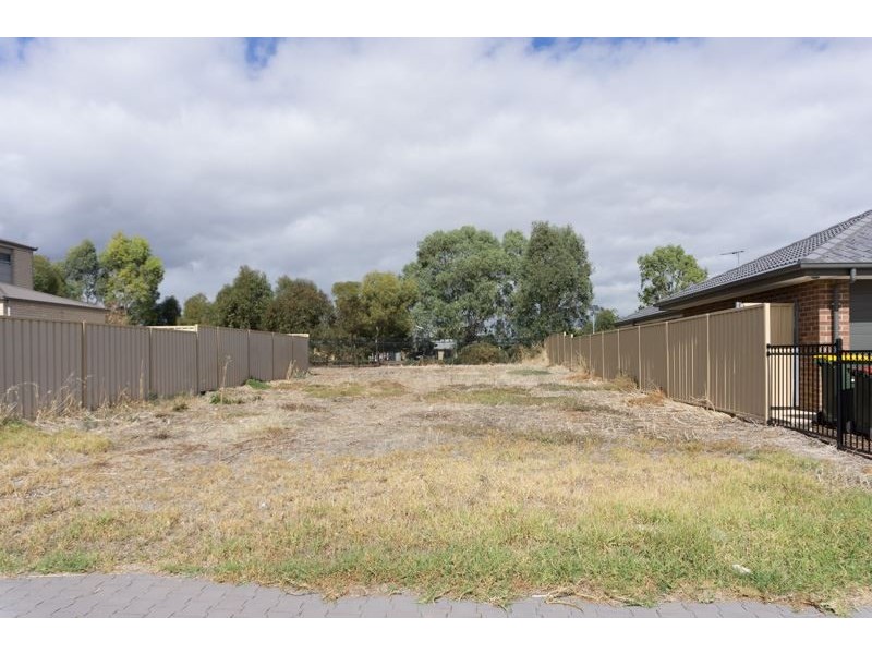31 Saxon Street, Smithfield Plains SA 5114