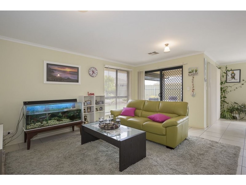 168 President Avenue, Andrews Farm SA 5114