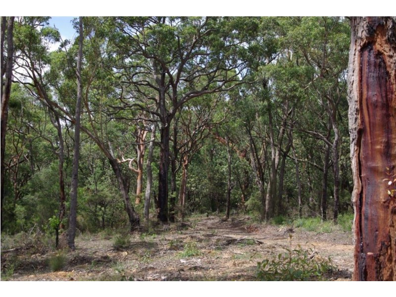 Kurrajong Heights NSW 2758