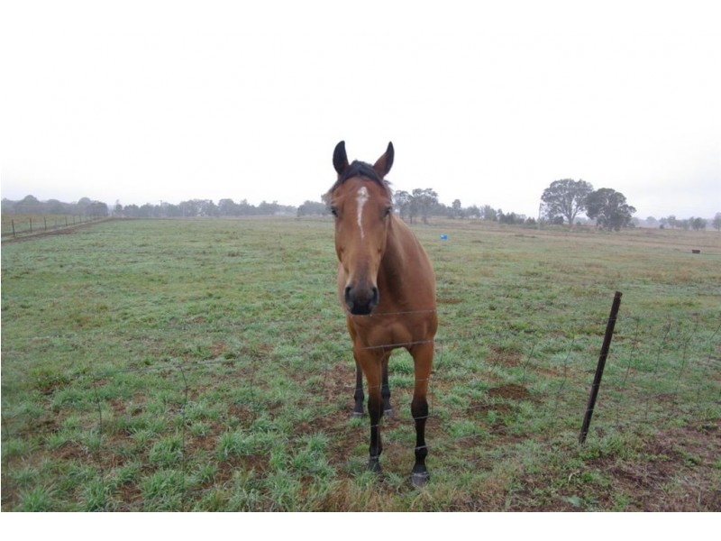 Lot 18 Macula Drive, Marulan NSW 2579