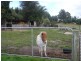 858 Frankford Road, Glengarry TAS 7275
