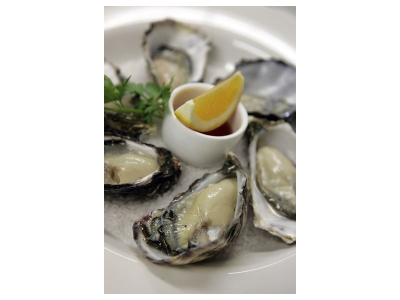 Cnr Franklin Street & Maria Street, Swansea TAS 7190