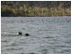 - Binalong Bay Road, St Helens TAS 7216