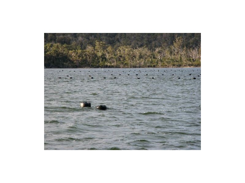 - Binalong Bay Road, St Helens TAS 7216