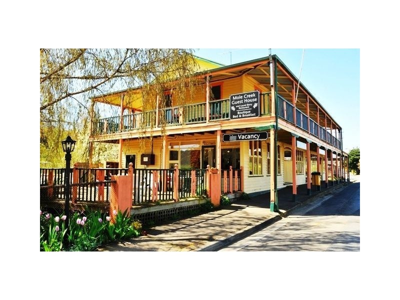 100 Pioneer Drive, Mole Creek TAS 7304