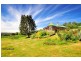 77 Flinders Street, Beauty Point TAS 7270